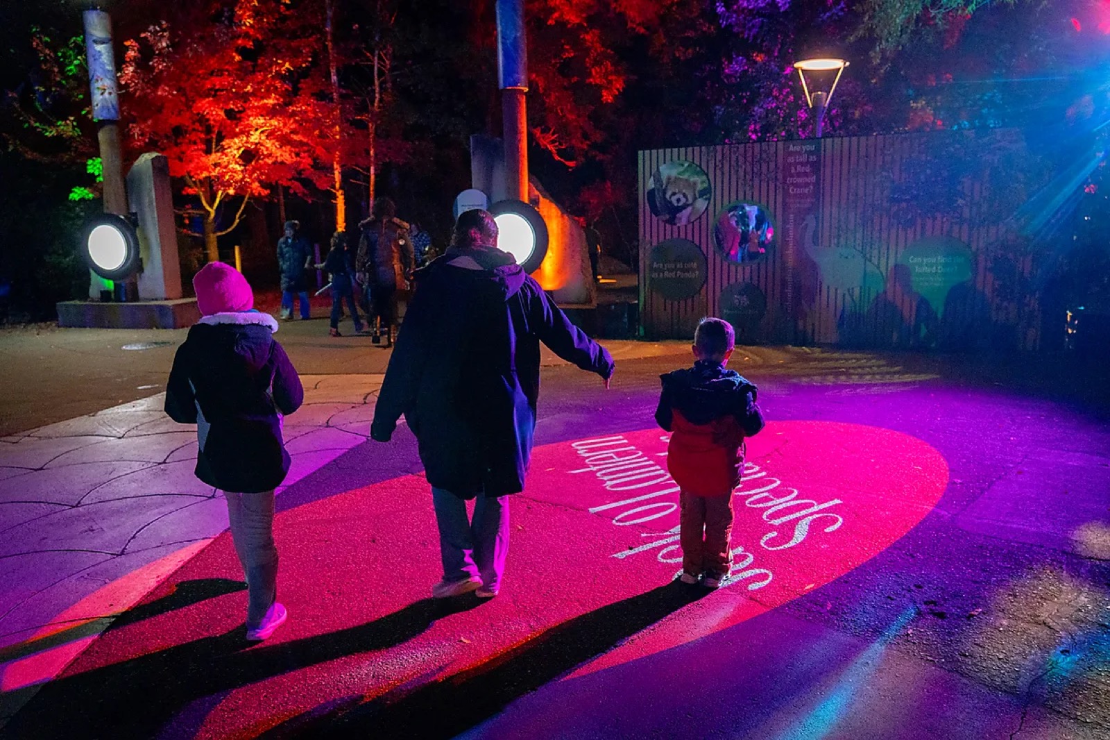 Real Family Zoo Lights Floor Projection logo gobo projection — real Business & Branding install | Infinity Projectors