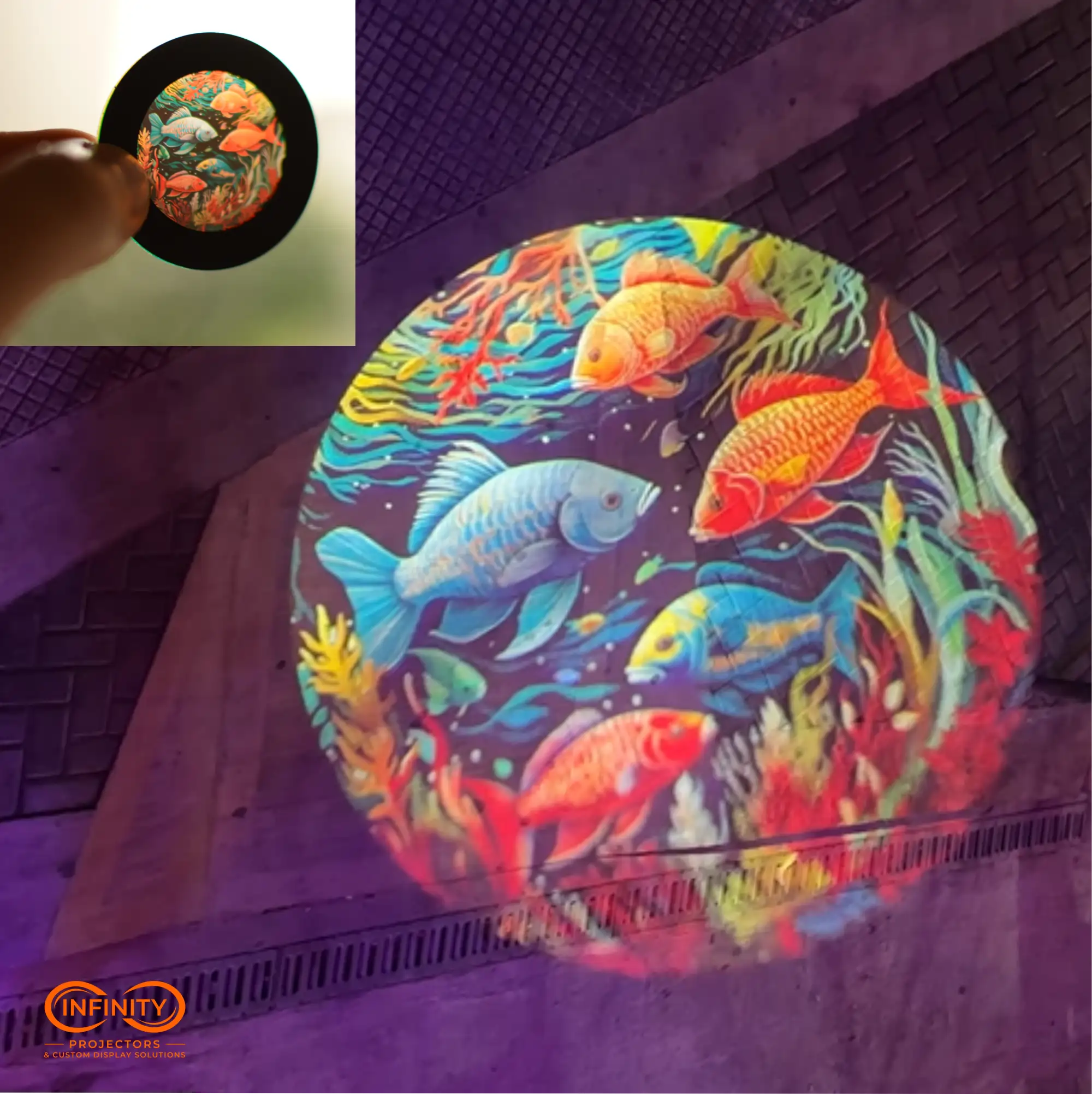 Full-color custom gobo of tropical fish held up, with its projection glowing on a textured purple wall