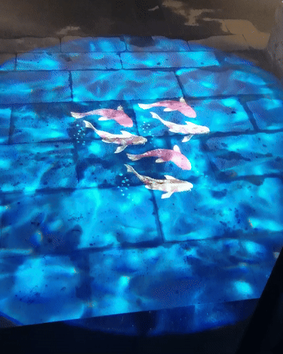 Real photo of koi fish projected on blue tile floor — Infinity Projectors