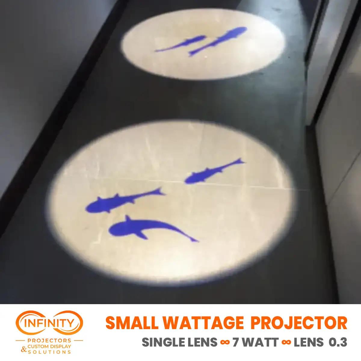 Two glowing circles with blue fish silhouettes projected on dark stone tiles beside a mirrored wall