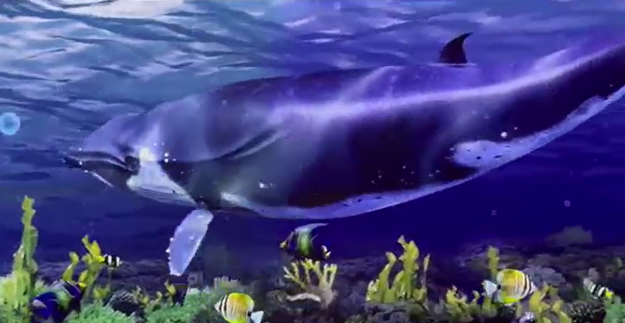 real photo/video-mapped underwater scene
