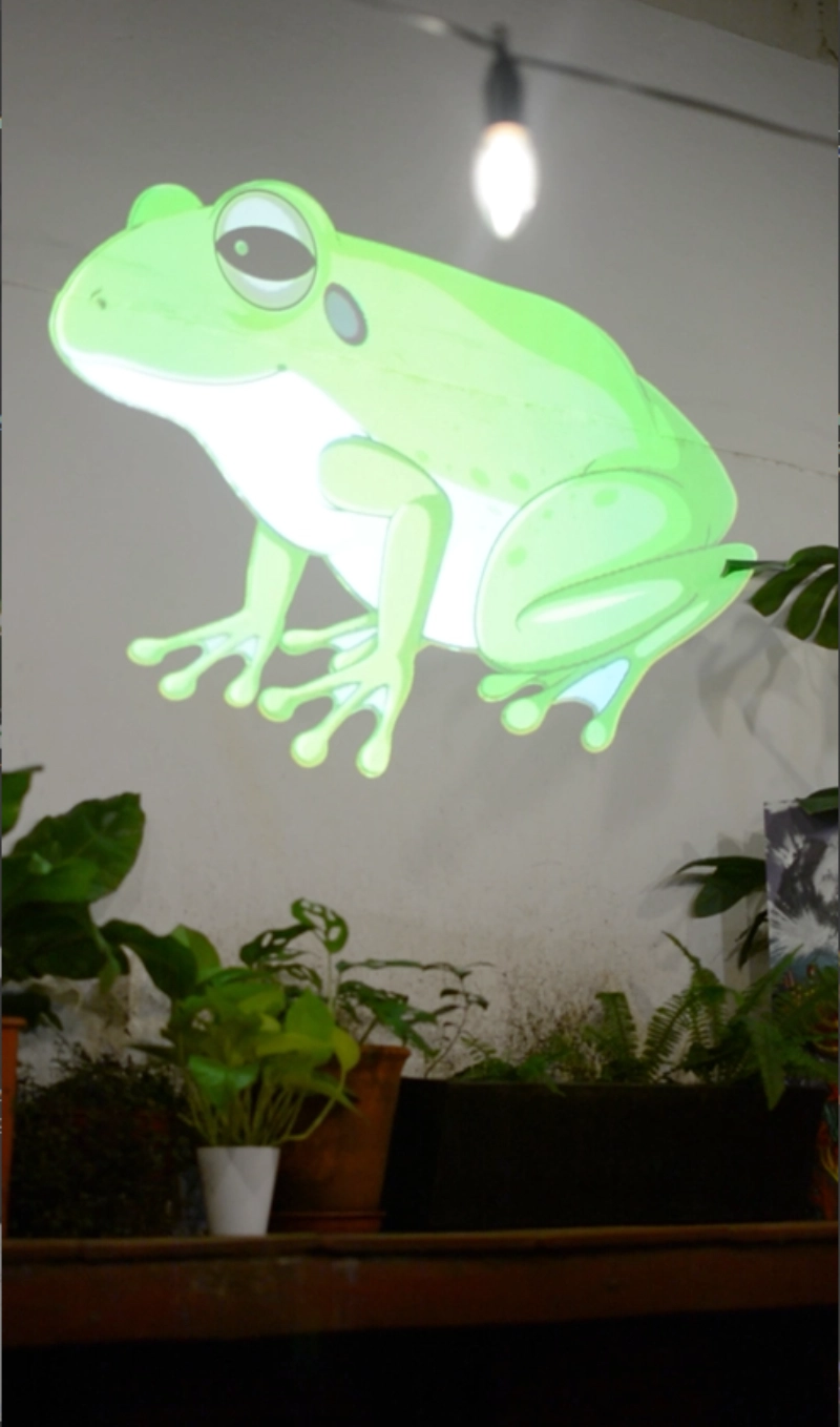 real photo of frog projected on wall