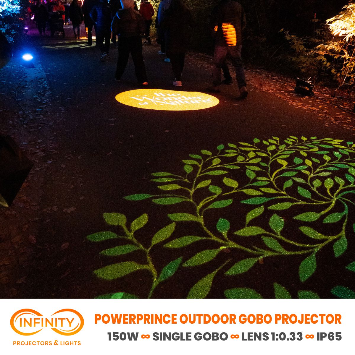 real photo of vine pattern path projection