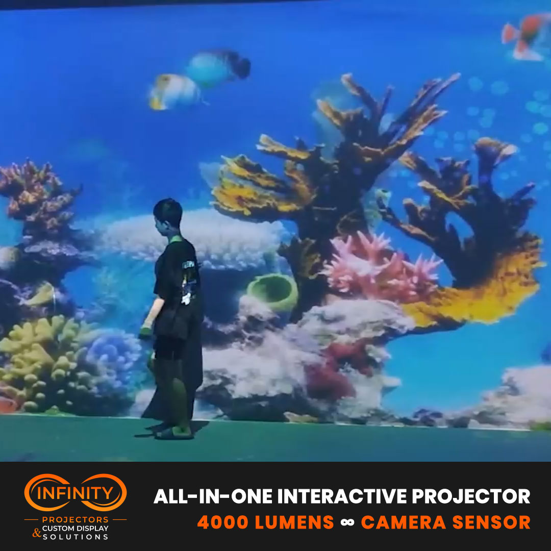 real photo of coral scene interactive projection