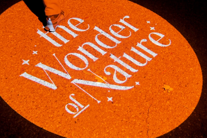 real photo of cursive text ground projection