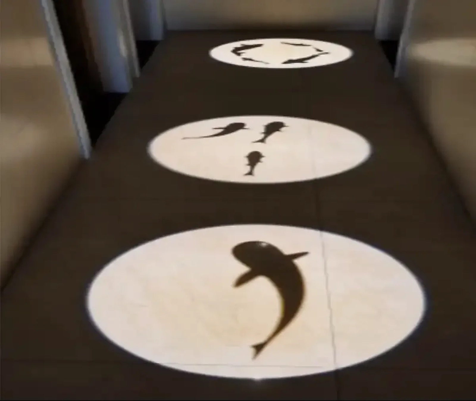 Real Lounge Walkway Fish Projection logo gobo projection — real Restaurants & Bars install | Infinity Projectors — Infinity Projectors