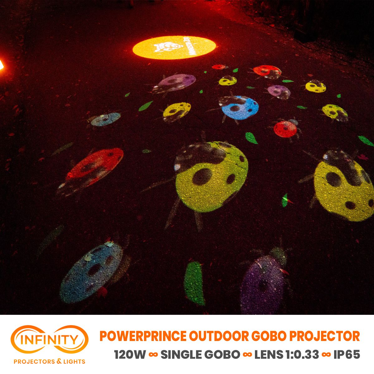 Multicolored ladybug gobos crawl across dark pavement in this product image with gobo projector banner