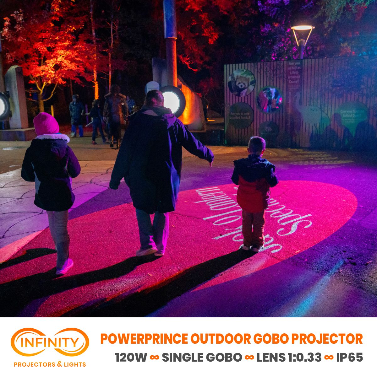 Family walks through a magenta light pool with white event lettering at a zoo night event; product banner below