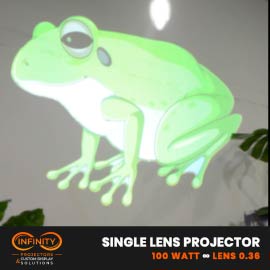 Video: friendly green cartoon frog projected on a white wall beside a plant