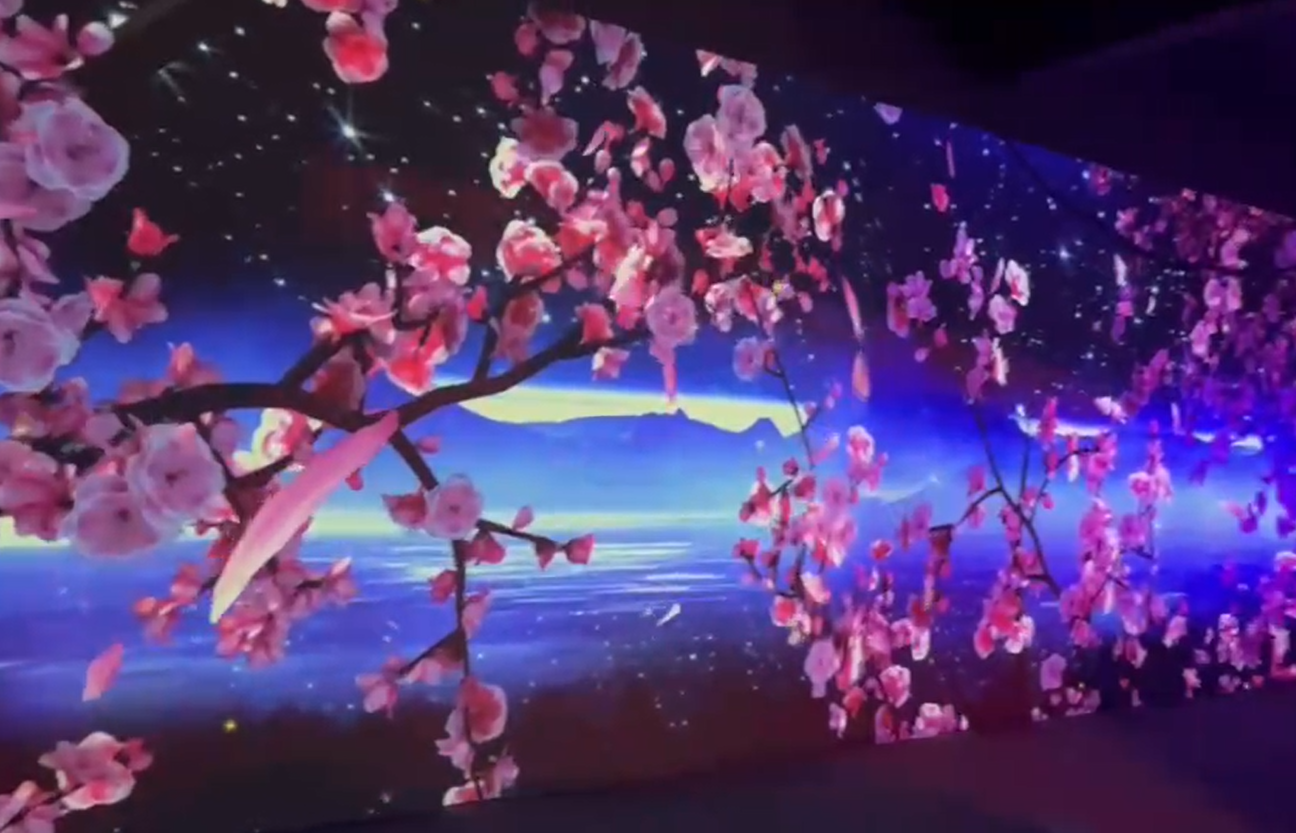 real photo of cherry blossom/starry gobo effect