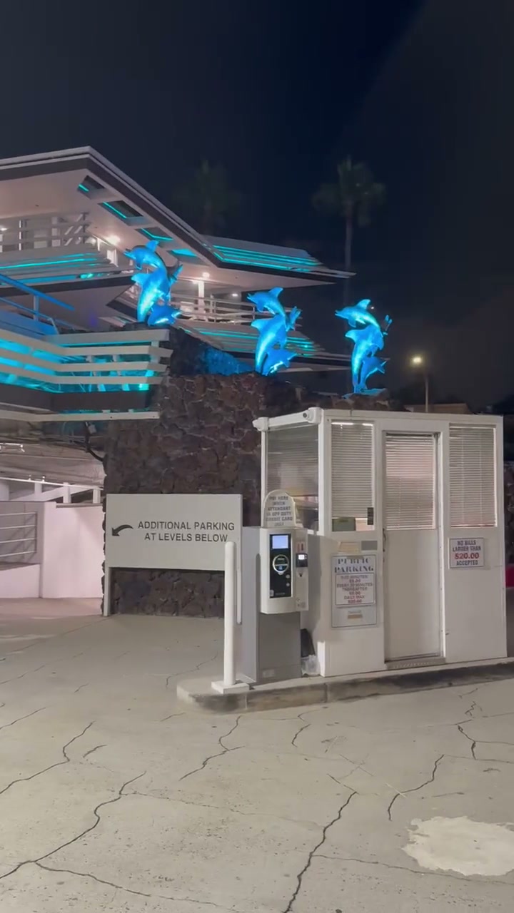 Blue dolphin gobo art animated across a building rooftop and palm trees at night — Infinity Projectors