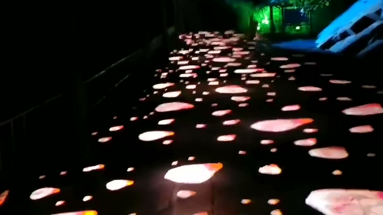 Walking Light projector moving pink petals along a garden walkway and across a lounge wall — Infinity Projectors