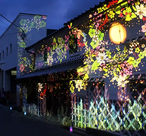 outdoor projector - entrance
