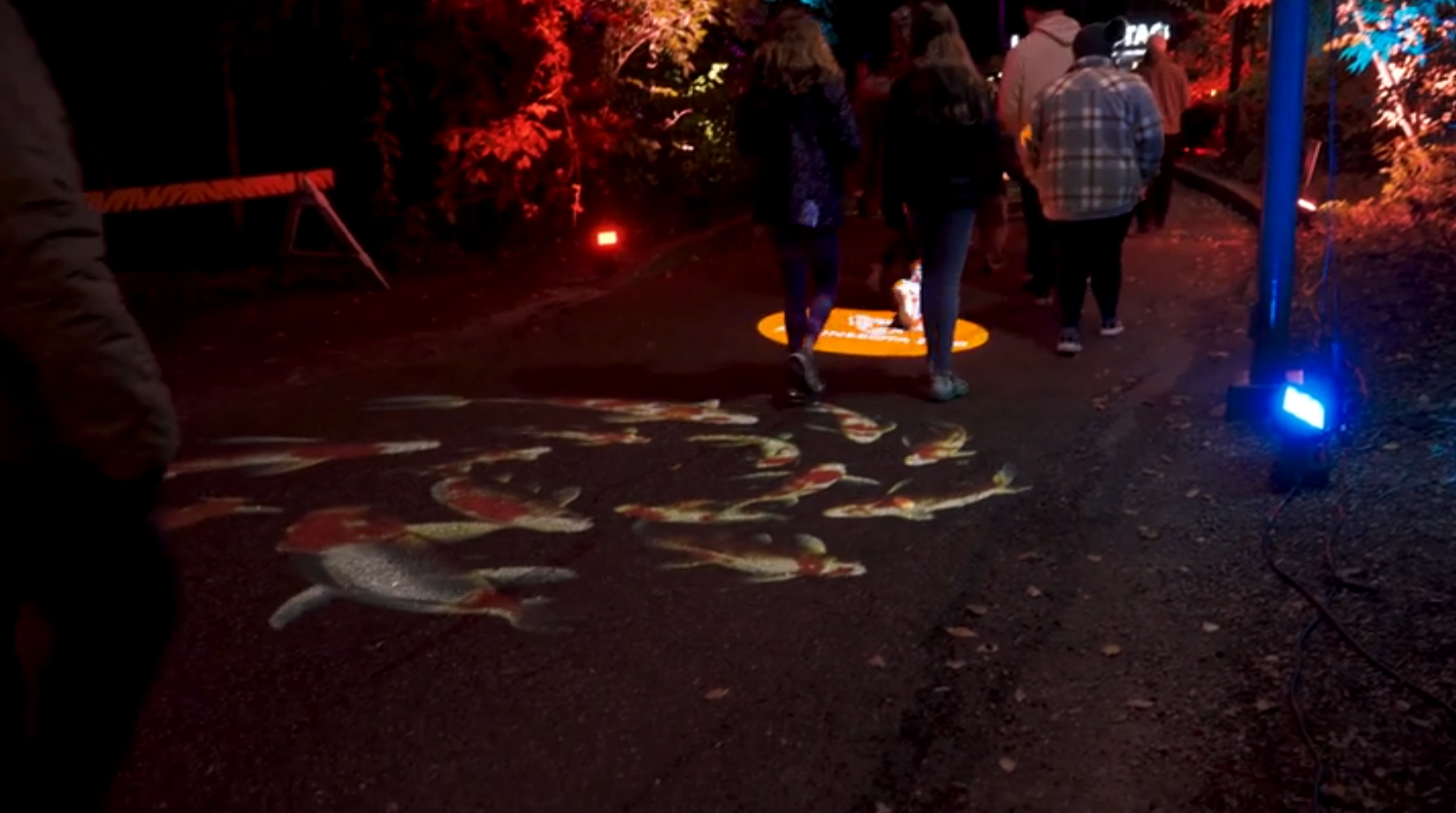 Video: projected koi fish swim across a dark zoo pathway as evening visitors walk by