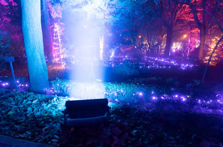 outdoor projector - entrance