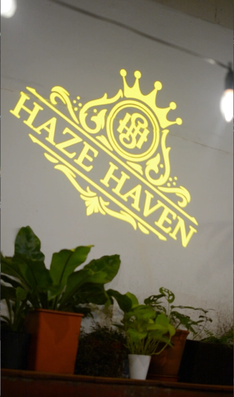 Real photo of Haze Haven logo projected on wall — Infinity Projectors