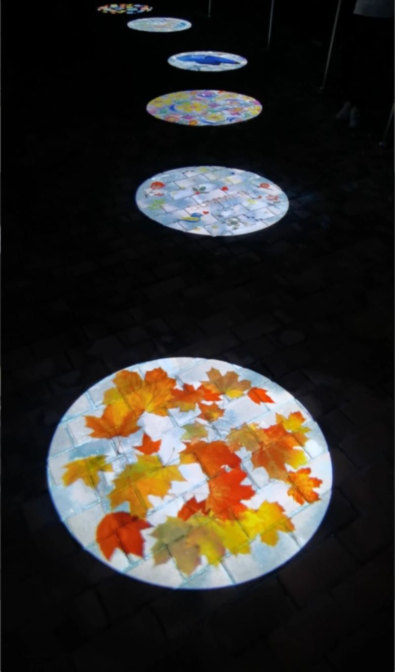 Real photo of autumn leaves pattern projected indoors — Infinity Projectors