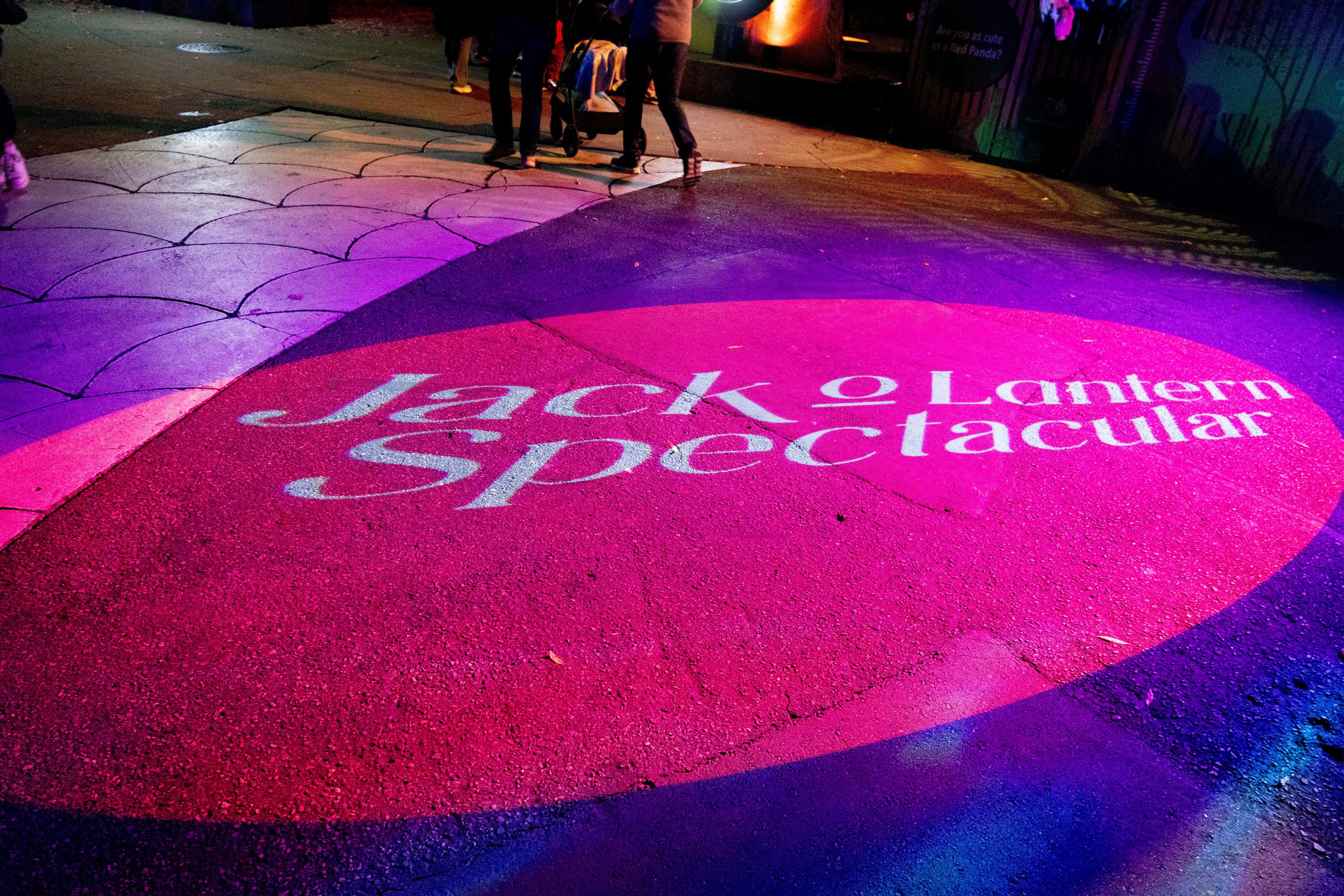 outdoor projector - entrance