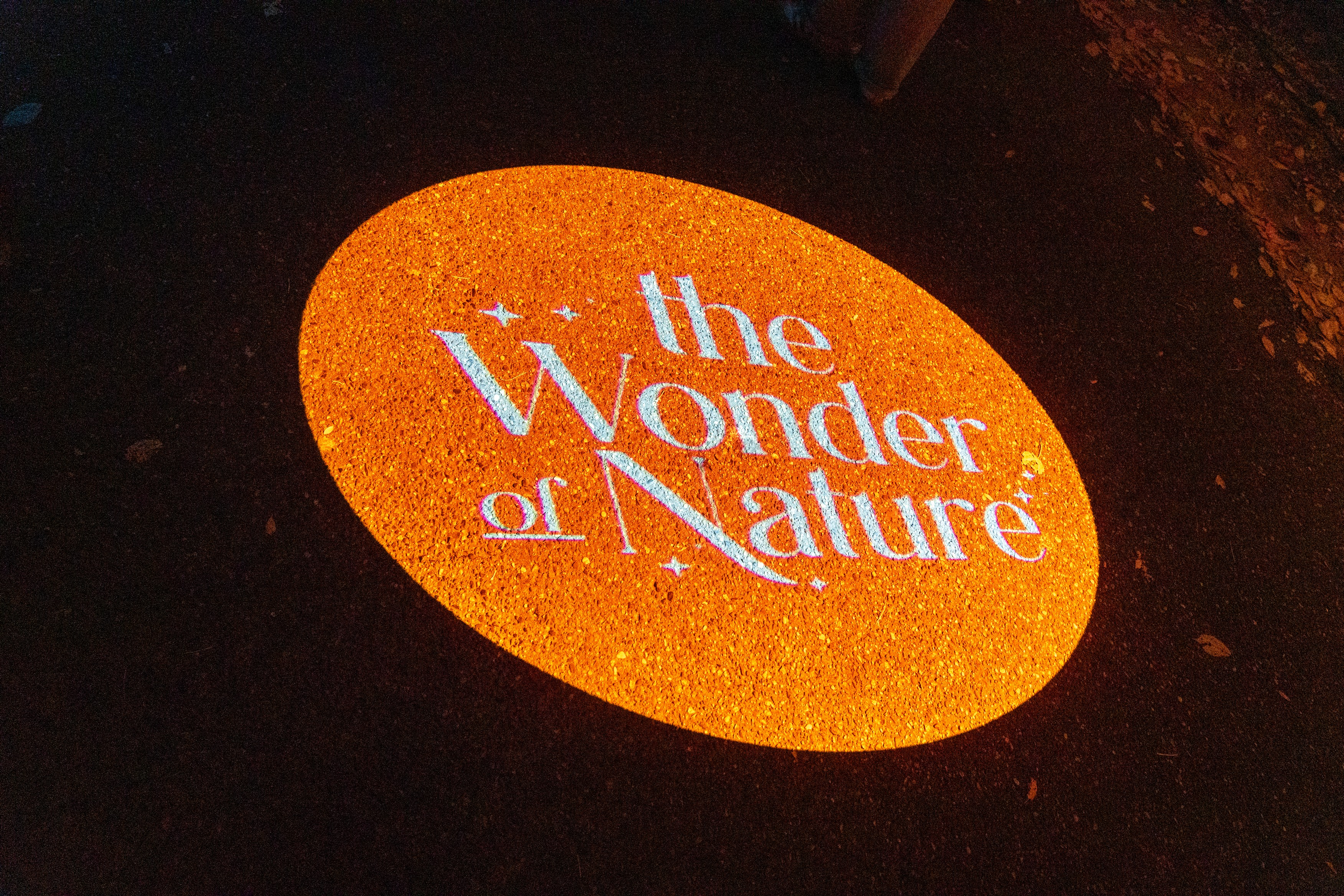 outdoor projector - newyear