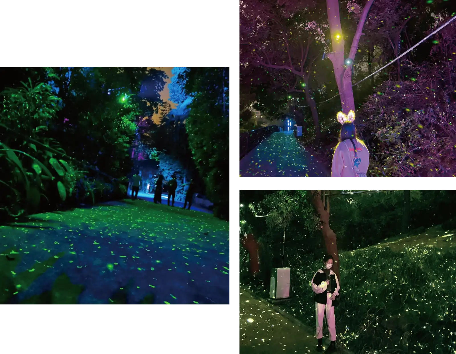 4K HD Imaging Outdoor Projector Gallery