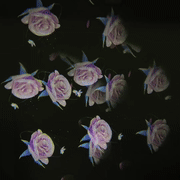 AI illustration: prism lenses splitting projections